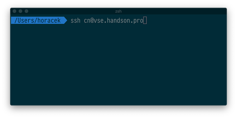 ssh terminal